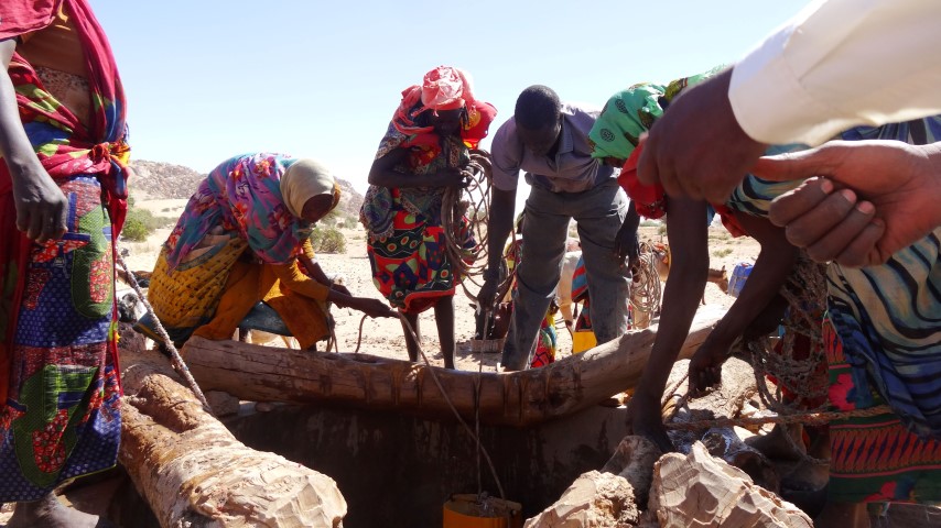 ... auch Männer holen Wasser am Brunnen, z.B. für die Tiere (Bild, im Osten vom Tchad)