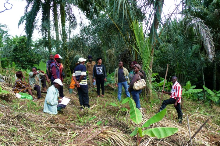 Bepflanzung eines Gemeinschaftsfeldes mit Kochbananen - Hier: Besprechung mit den Bauern 